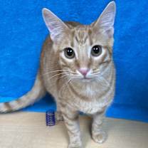 Thumbnail photo of Nate #4