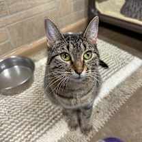 Thumbnail photo of Roberta Doe! #3