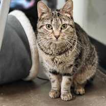 Thumbnail photo of Anonymous #2