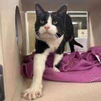 Thumbnail photo of Edith #3