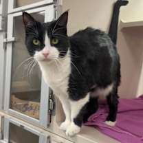 Thumbnail photo of Edith #4