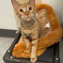 Thumbnail photo of Tuscaloosa #1