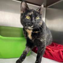 Thumbnail photo of Kris #3