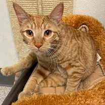 Thumbnail photo of Tuscaloosa #2