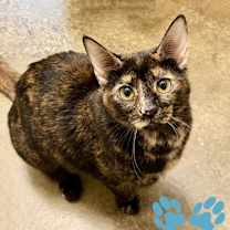 Thumbnail photo of Francisca #1