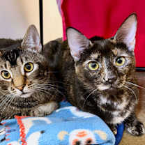 Thumbnail photo of Francisca #2