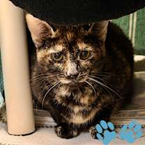 Thumbnail photo of Francisca #3