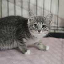 Thumbnail photo of Gretchen #1