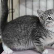 Thumbnail photo of Gretchen #2