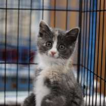 Thumbnail photo of Regina #2