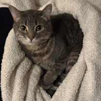 Thumbnail photo of Sarah Jane Willowtree #2