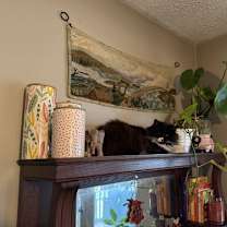 Thumbnail photo of *Enid #3