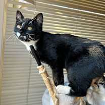 Thumbnail photo of Rachel #1