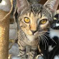 Thumbnail photo of Monica #2