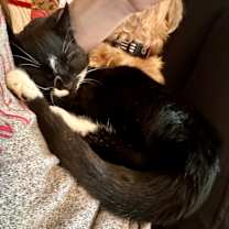 Thumbnail photo of Rachel #2