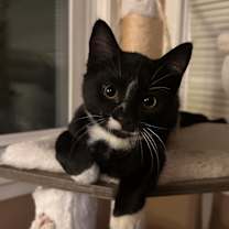 Thumbnail photo of Rachel #3