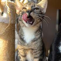 Thumbnail photo of Monica #4