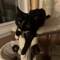 Thumbnail photo of Rachel #4