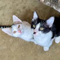 Thumbnail photo of Kyle #3