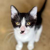 Thumbnail photo of Kyle #4