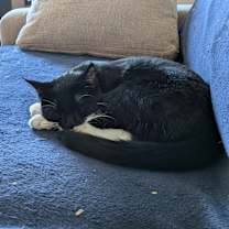 Thumbnail photo of Lisa #1