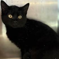 Thumbnail photo of Hallie #3