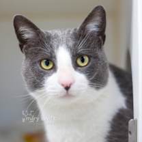 Thumbnail photo of Balboa #1