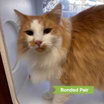 Thumbnail photo of Calix #2