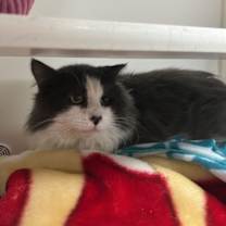 Thumbnail photo of Oops #3