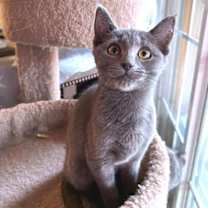 Thumbnail photo of Parker #3