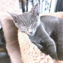 Thumbnail photo of Parker #1