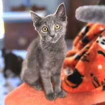 Thumbnail photo of Parker #2