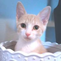 Thumbnail photo of Owen #1