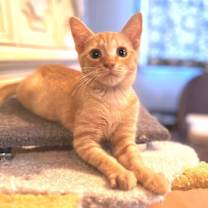 Thumbnail photo of Franklin #2