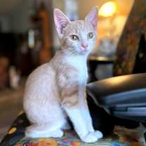 Thumbnail photo of Owen #2