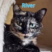 Thumbnail photo of River #1