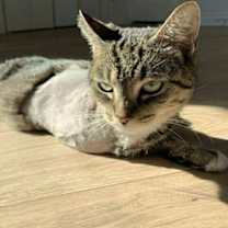 Thumbnail photo of Marian #3