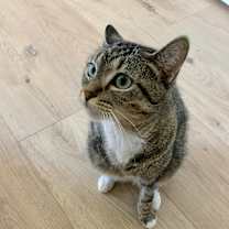 Thumbnail photo of Marian #4