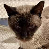 Thumbnail photo of George Washington #1