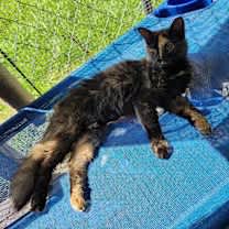 Thumbnail photo of Antoinette #3