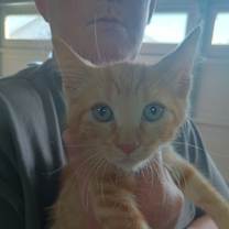 Thumbnail photo of Kibble #3