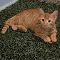 Thumbnail photo of Bits #3