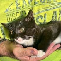 Thumbnail photo of Mimi East Meadow #2