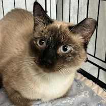 Thumbnail photo of Fiona #2