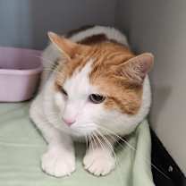 Thumbnail photo of Darwin #2