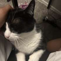 Thumbnail photo of Tokyo #2