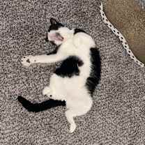 Thumbnail photo of Tokyo #3