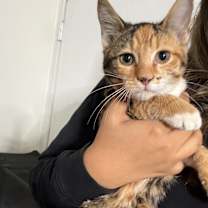 Thumbnail photo of Valentina #1