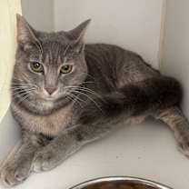 Thumbnail photo of Marshmellow #4