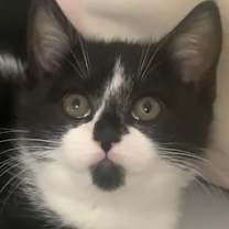 Thumbnail photo of Belle #2